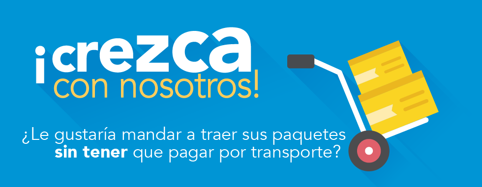 Cómo funciona el servicio